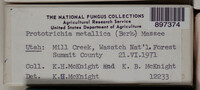 Image Associated With the Occurence